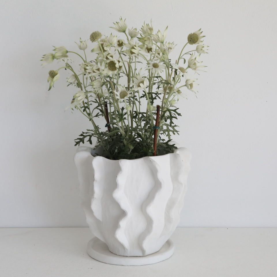 Flutter Flower Pot L