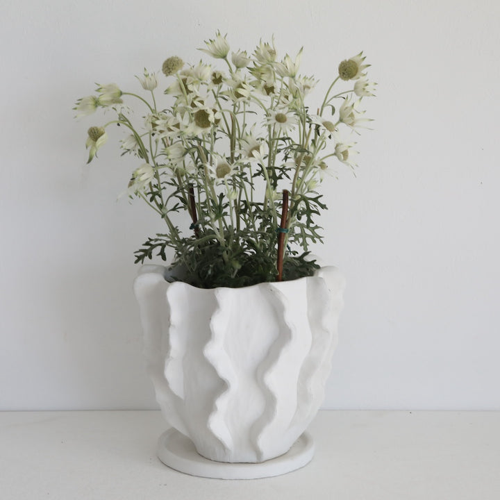 Flutter Flower Pot L